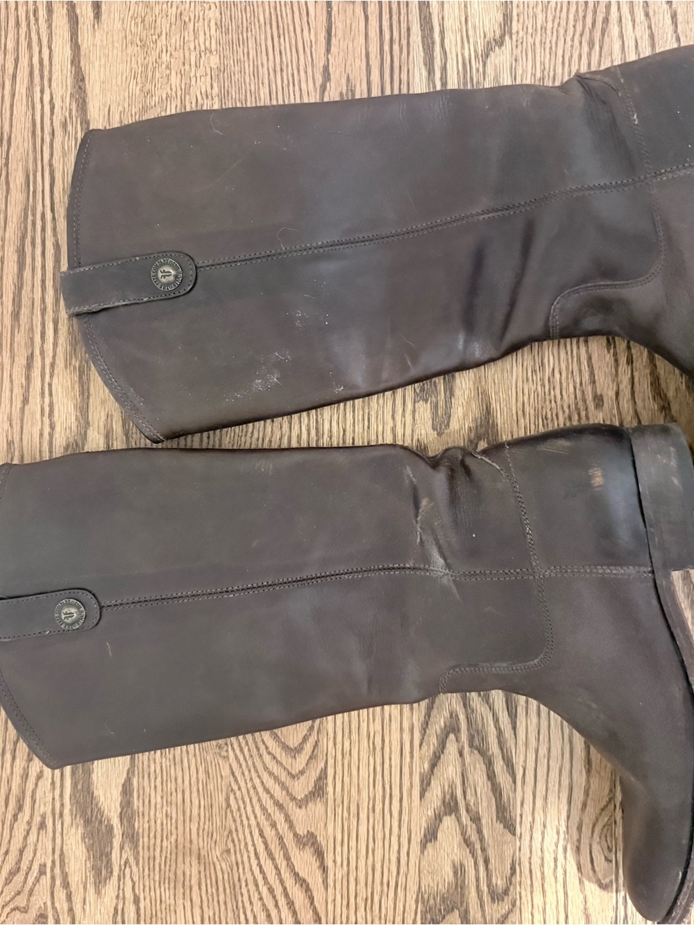 Frye Tall Leather Riding Boots in Dark Brown